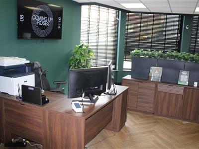 Picture 12
